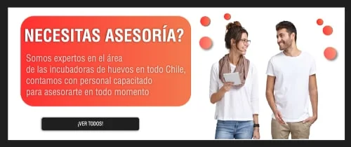 Asesoria min - Asesoria-min