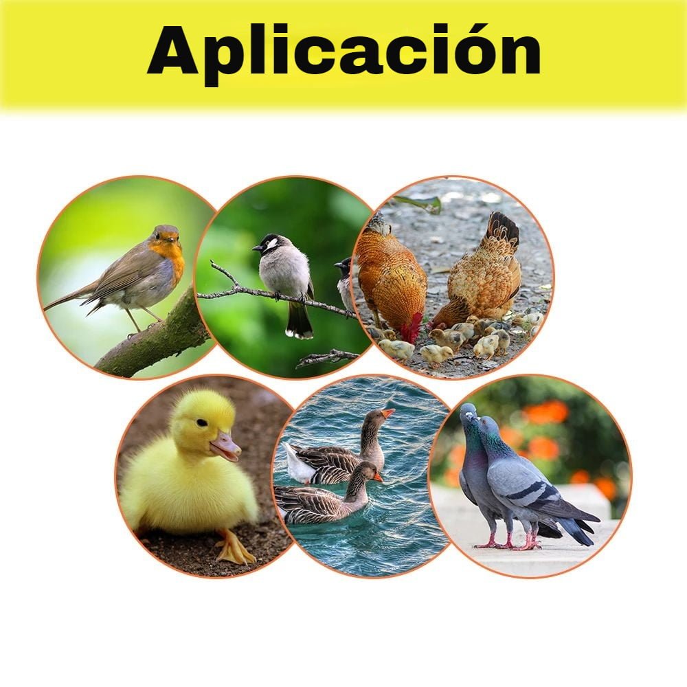 Incubadoras Chile