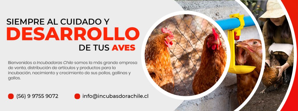 Incubadoras Chile