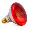 Ampolleta de Aire 5-100 watts