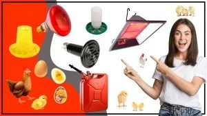 Calefaccion avicola Los pros y contras de los sistemas electricos y de gas 300x169 - Calefacción avícola: Los pros y contras de los sistemas eléctricos y de gas