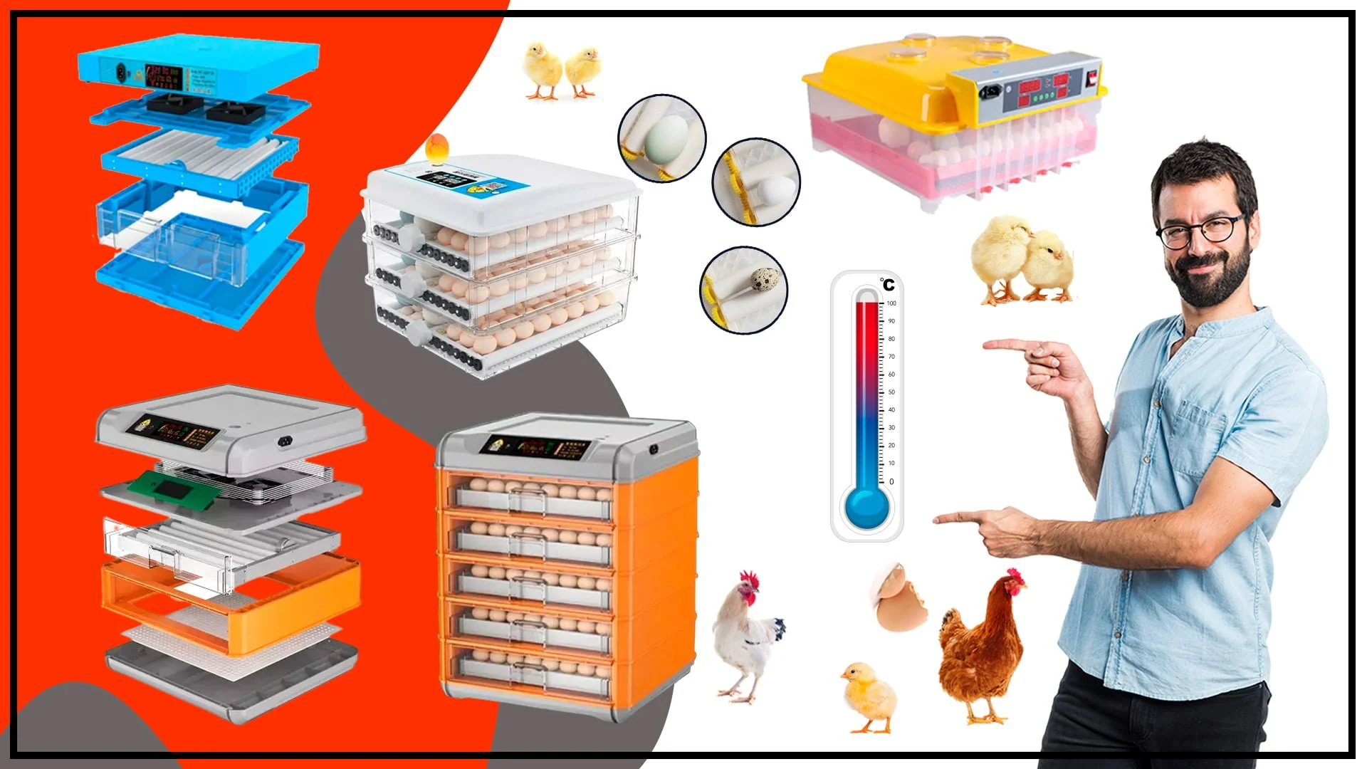Como ajustar la temperatura y la humedad en una incubadora automatica q2we - Cómo-ajustar-la-temperatura-y-la-humedad-en-una-incubadora-automática-q2we