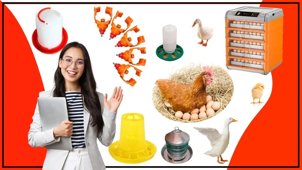 Como mantener un registro preciso de tus aves con la ayuda de accesorios de crianza especiales 1024x576 - Cómo mantener un registro preciso de tus aves con la ayuda de accesorios de crianza especiales