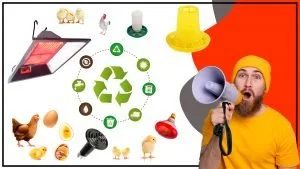 Como reducir el impacto ambiental de la calefaccion avicola Soluciones sostenibles 300x169 - Cómo reducir el impacto ambiental de la calefacción avícola: Soluciones sostenibles