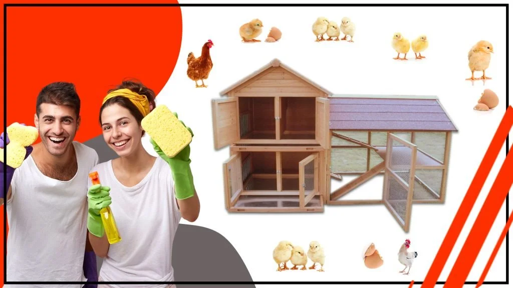 Consejos para el mantenimiento adecuado de tu gallinero avicola 1024x576 - Consejos para el mantenimiento adecuado de tu gallinero avícola