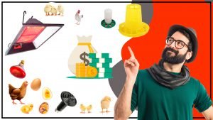 Criadoras avicolas Como comenzar tu propio negocio de produccion de aves 300x169 - Criadoras avícolas: Cómo comenzar tu propio negocio de producción de aves