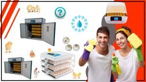 Las mejores practicas para limpiar y desinfectar tu criadora avicola 300x169 - Las mejores prácticas para limpiar y desinfectar tu criadora avícola