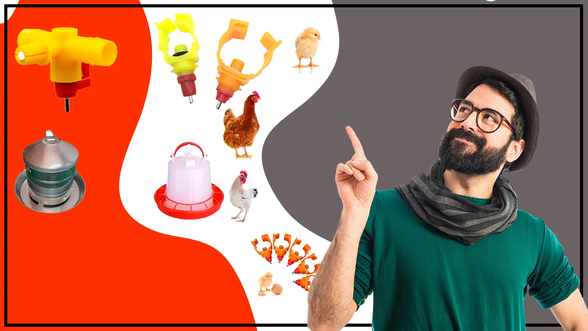 Que tan importante es el diseno del bebedero avicola para tus aves - Qué-tan-importante-es-el-diseño-del-bebedero-avícola-para-tus-aves