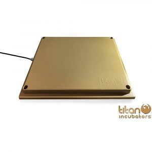 Reemplazo de lampara de calor &ndash; Hasta 25 polluelos &ndash; 12 x 12 pulgadas 300x300 - Placa de Calefacci&oacute;n 25 pollitos