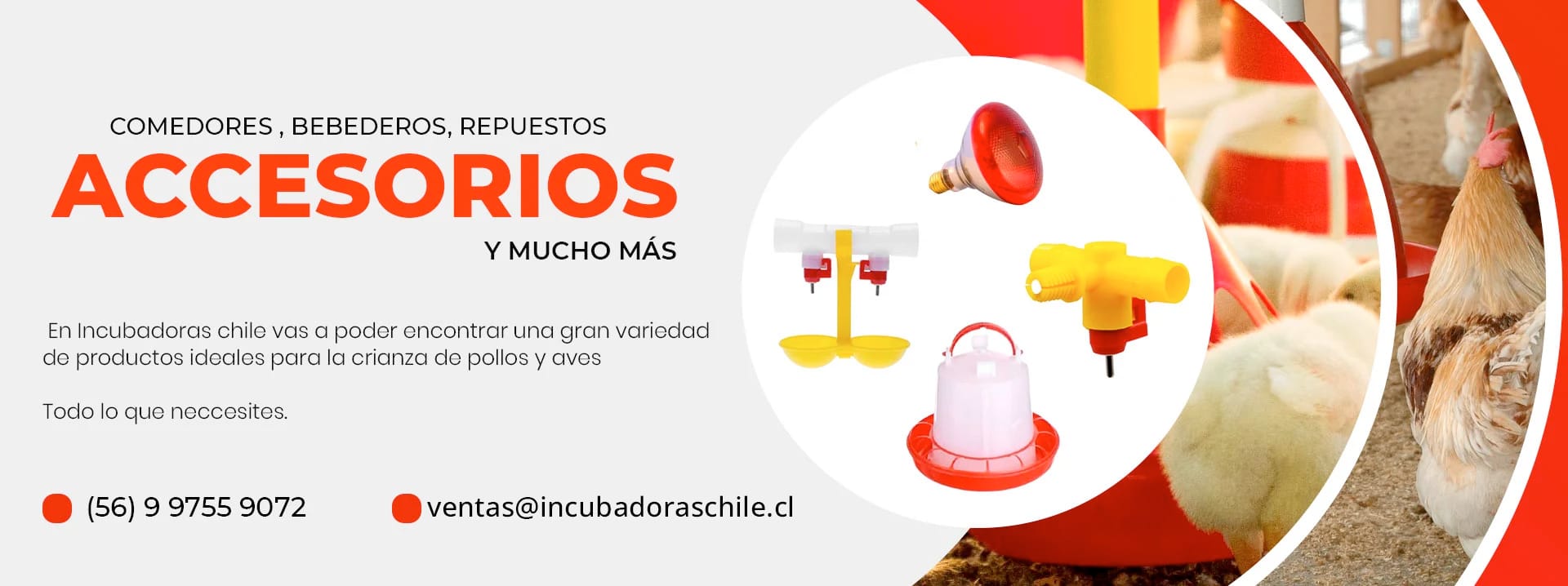 BANERS ACCESORIOSNOVIEMBRE2022 - Incubadoras Avicola
