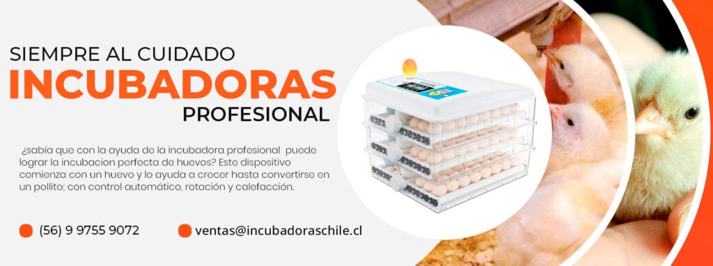 BANERS INCUBADORAS NOVIEMBRE 2022 1024x383 - Incubadoras Avicola